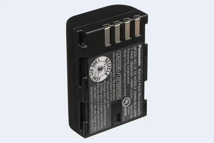 Panasonic DMW-BLF19