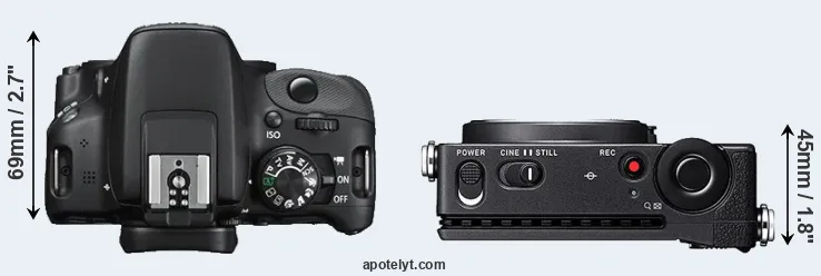 Compare 100D versus fp top