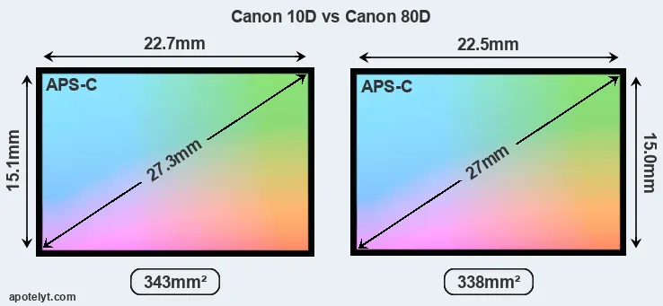 Canon 10D and Canon 80D sensor measures