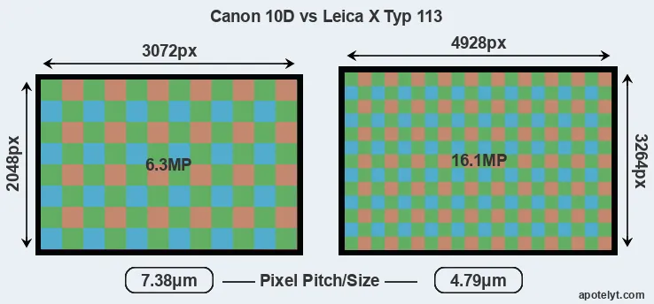 10D versus X Typ 113 MP