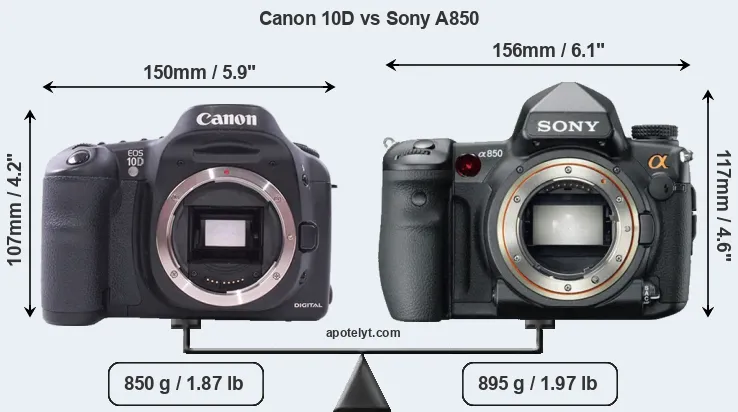 Size Canon 10D vs Sony A850