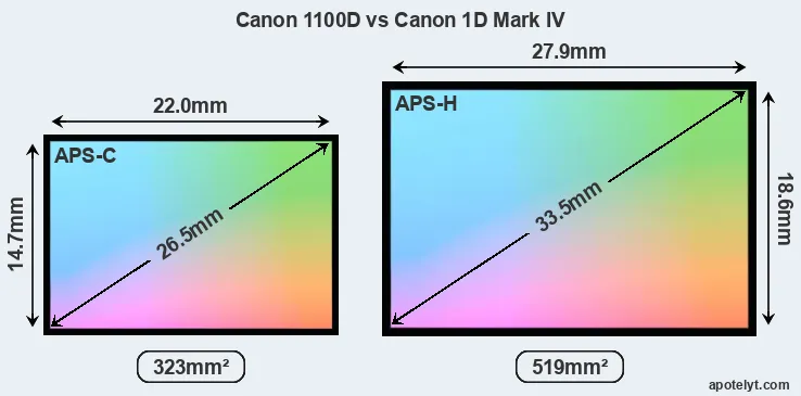 Canon 1100D and Canon 1D Mark IV sensor measures