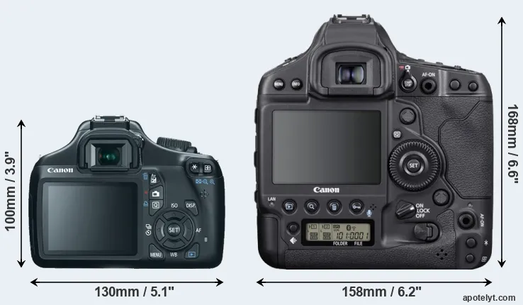 Comparison 1100D or 1DX Mark III rear