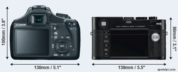 Comparison 1100D or M Typ 240 rear