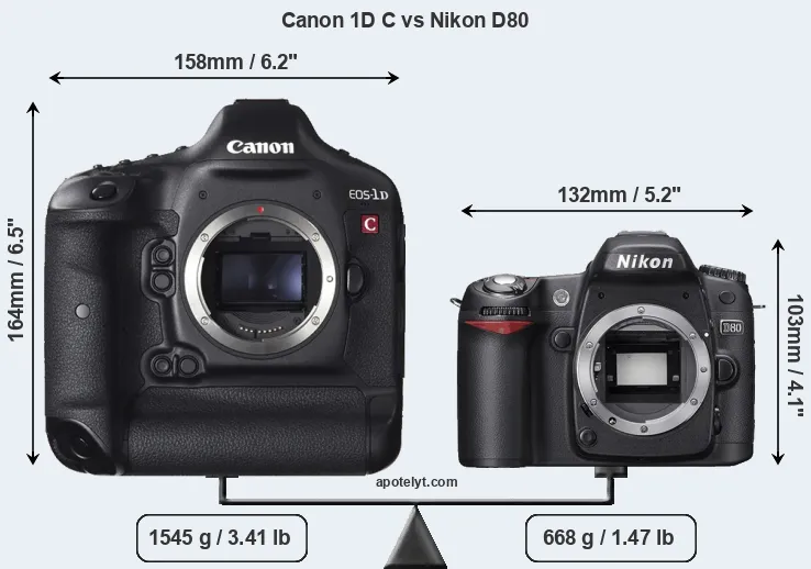 Size Canon 1D C vs Nikon D80