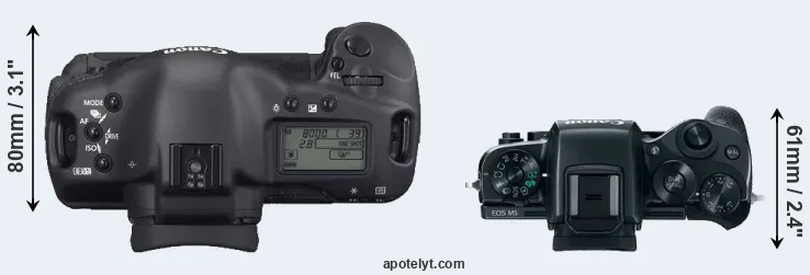 Compare 1D Mark II N versus M5 top