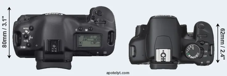 Compare 1D Mark II N versus XSi top