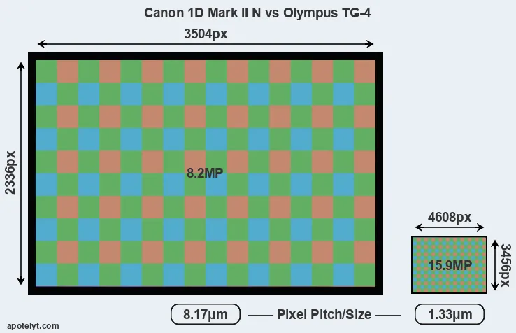 1D Mark II N versus TG-4 MP