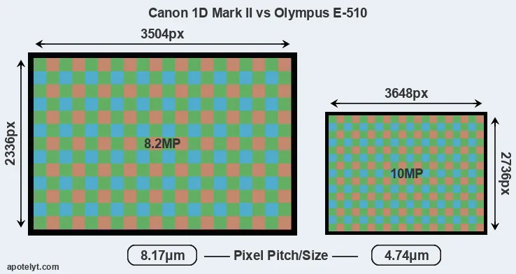1D Mark II versus E-510 MP