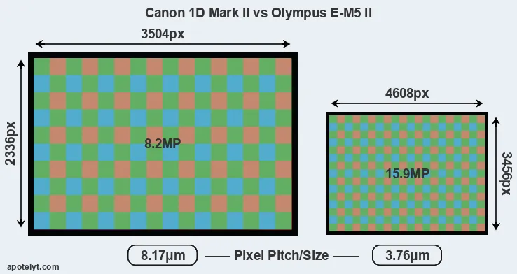 1D Mark II versus E-M5 II MP