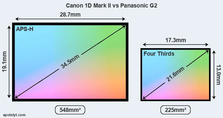 Canon 1D Mark II and Panasonic G2 sensor measures