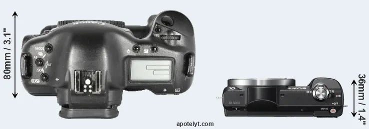 Compare 1D Mark II versus A5000 top