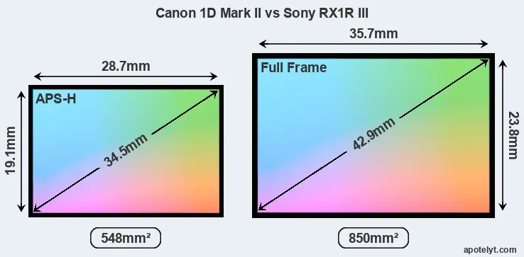 Canon 1D Mark II and Sony RX1R III sensor measures