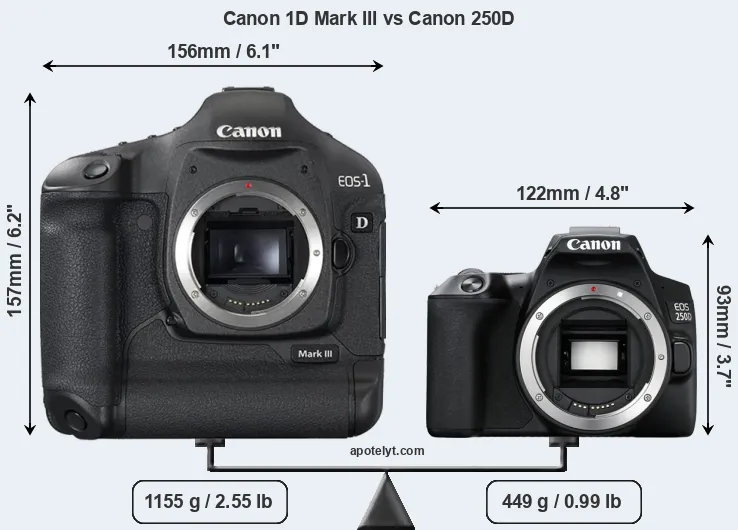 Size Canon 1D Mark III vs Canon 250D