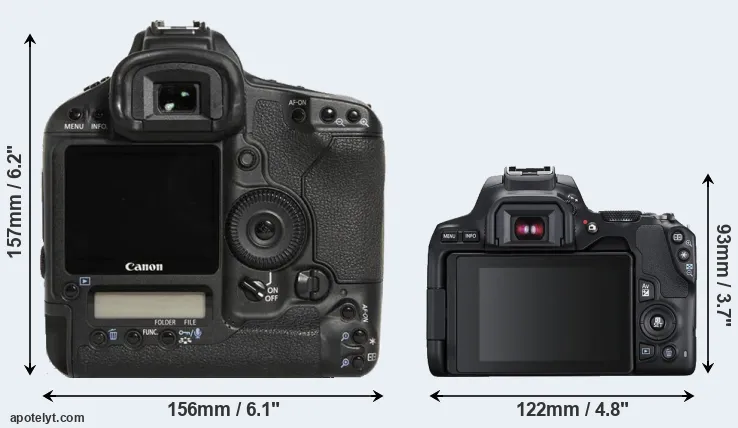 Comparison 1D Mark III or 250D rear