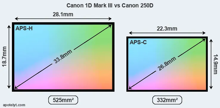 Canon 1D Mark III and Canon 250D sensor measures