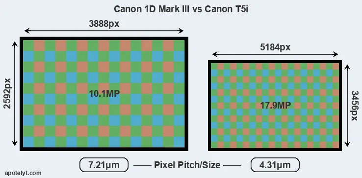 1D Mark III versus T5i MP