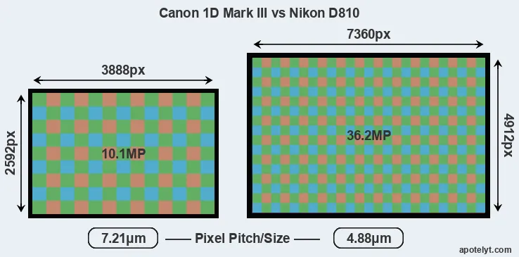 1D Mark III versus D810 MP