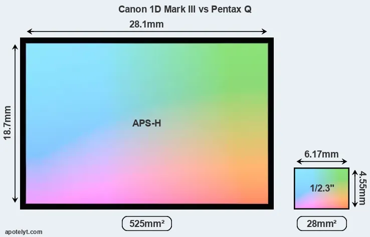 Canon 1D Mark III and Pentax Q sensor measures
