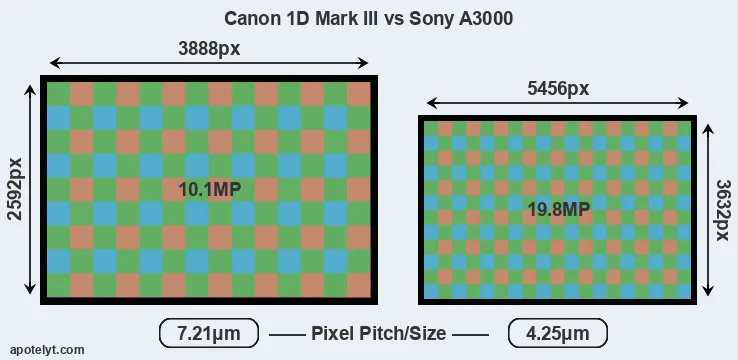1D Mark III versus A3000 MP
