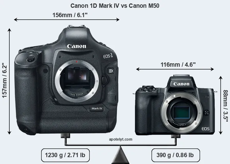 Size Canon 1D Mark IV vs Canon M50
