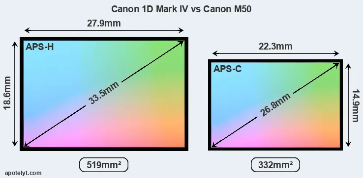 Canon 1D Mark IV and Canon M50 sensor measures
