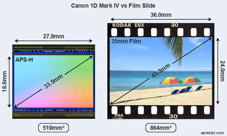 Canon 1D Mark IV sensor measures