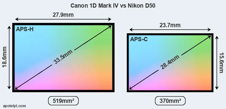 Canon 1D Mark IV and Nikon D50 sensor measures