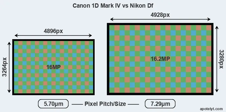 1D Mark IV versus Df MP