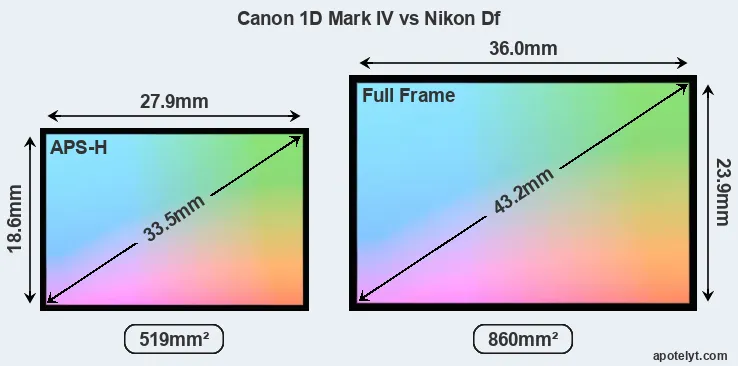 Canon 1D Mark IV and Nikon Df sensor measures