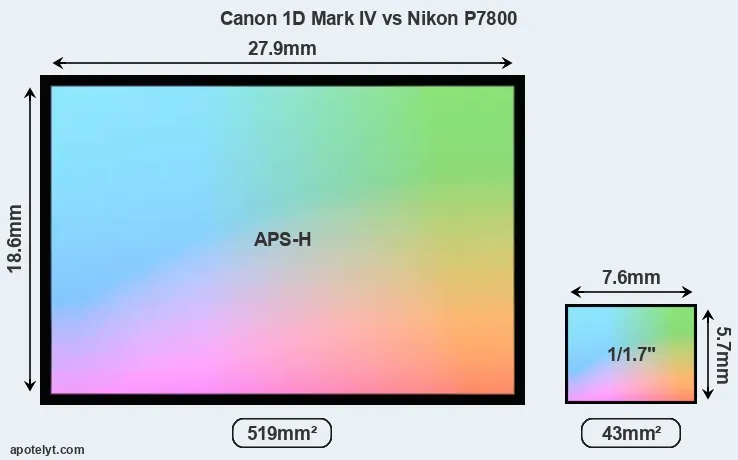 Canon 1D Mark IV and Nikon P7800 sensor measures