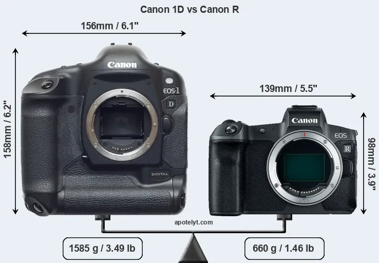 Size Canon 1D vs Canon R