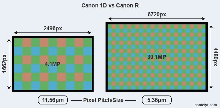 1D versus Canon R MP