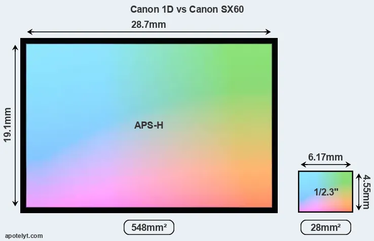 Canon 1D and Canon SX60 sensor measures