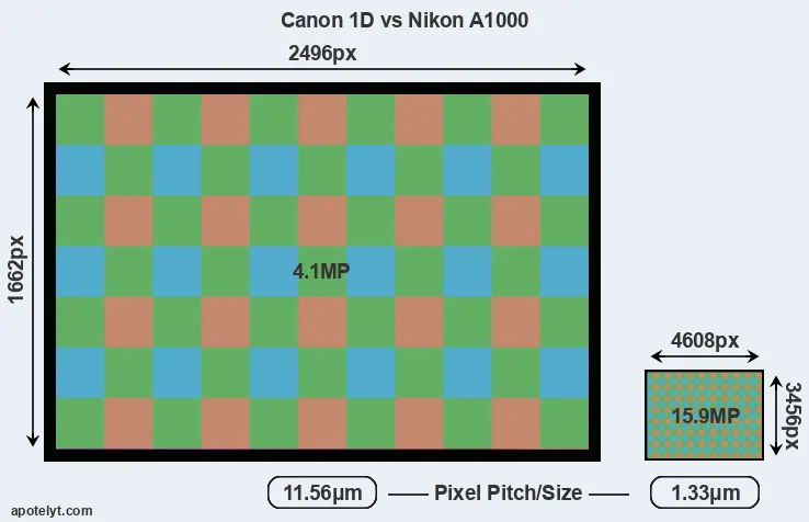 1D versus A1000 MP