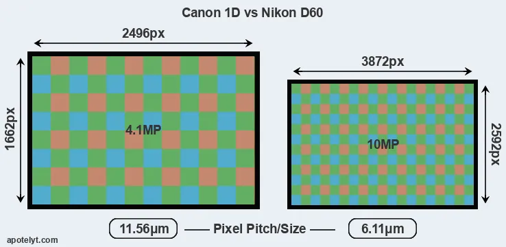 1D versus D60 MP