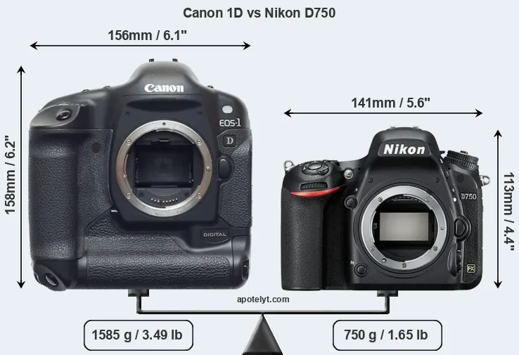 Size Canon 1D vs Nikon D750