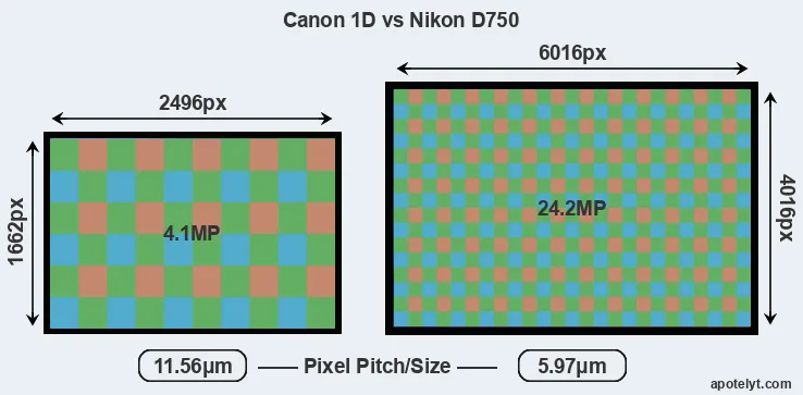 1D versus D750 MP