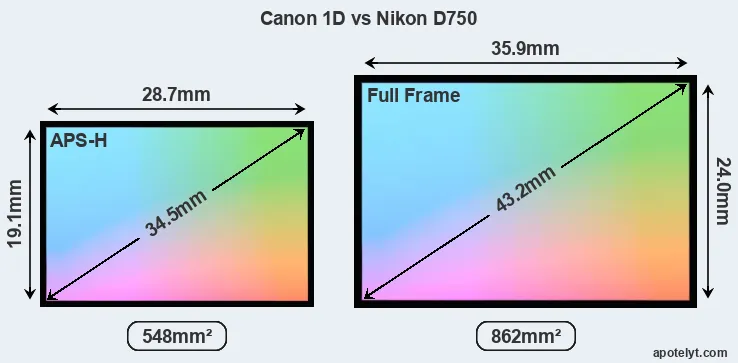 Canon 1D and Nikon D750 sensor measures