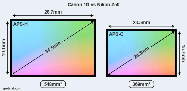 Canon 1D and Nikon Z50 sensor measures