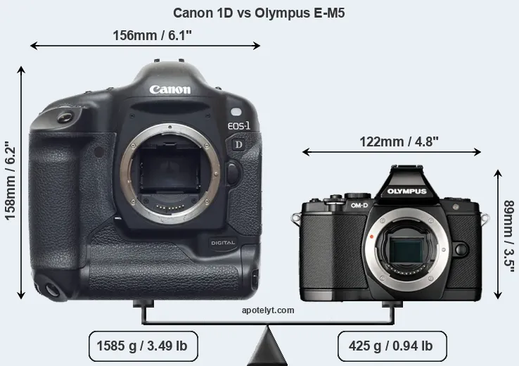 Size Canon 1D vs Olympus E-M5