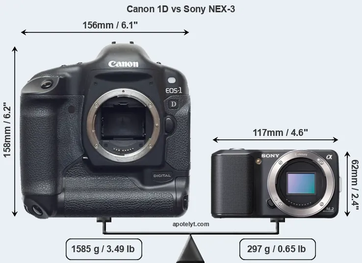 Size Canon 1D vs Sony NEX-3