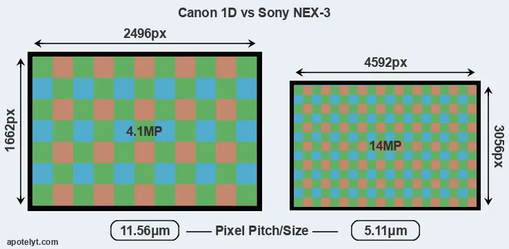 1D versus NEX-3 MP