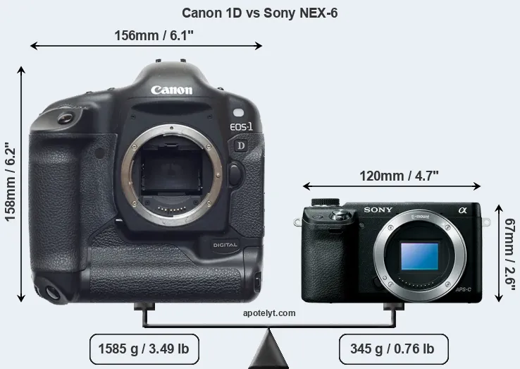 Size Canon 1D vs Sony NEX-6