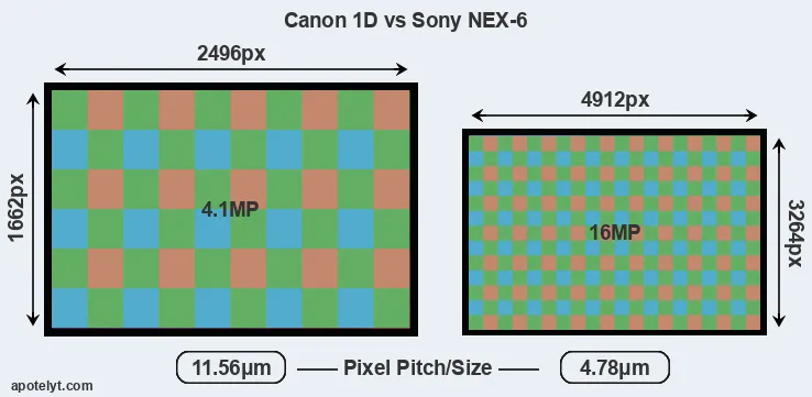 1D versus NEX-6 MP