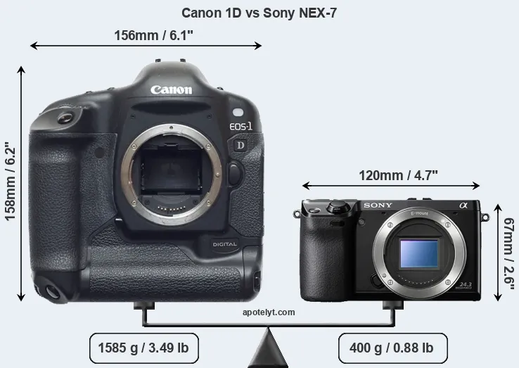 Size Canon 1D vs Sony NEX-7