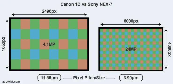 1D versus NEX-7 MP