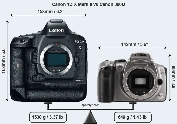 Size Canon 1D X Mark II vs Canon 300D