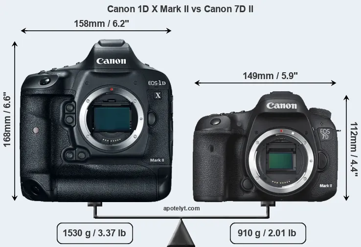 Size Canon 1D X Mark II vs Canon 7D II