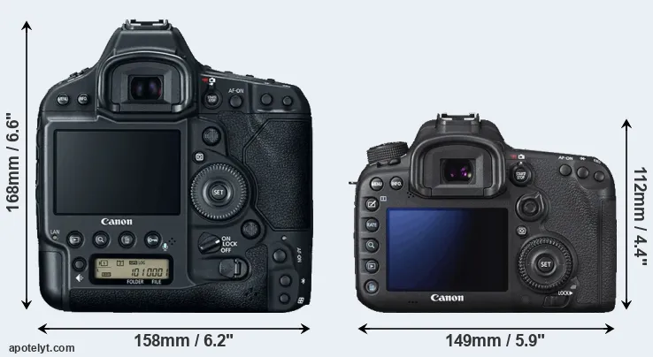 Comparison 1DX Mark II or 7D Mark II rear